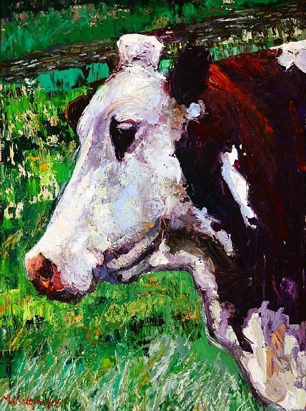 Cow Posture
