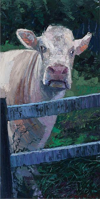 Fenced in or Fenced out