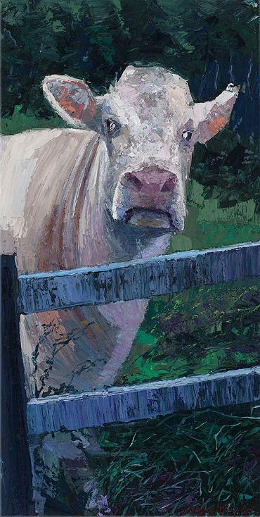 Fenced in or Fenced out