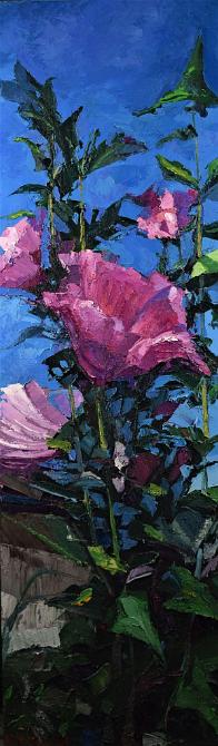 Image representation for Flowers