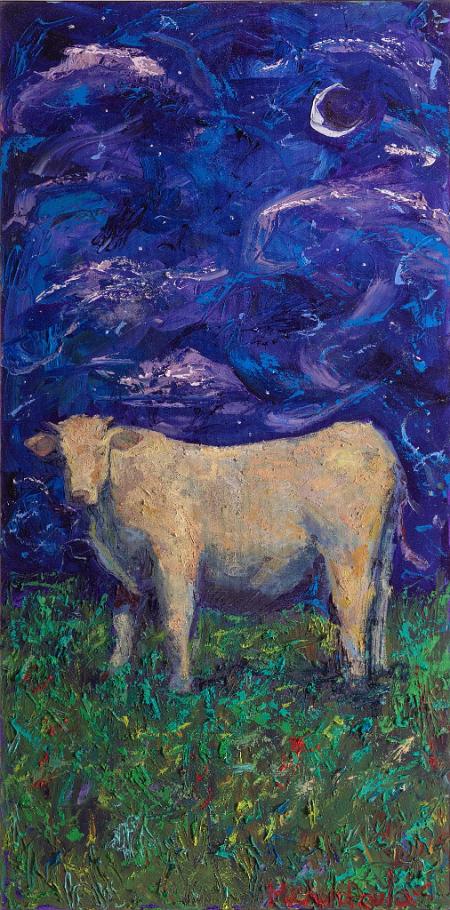 Image representation for Animals